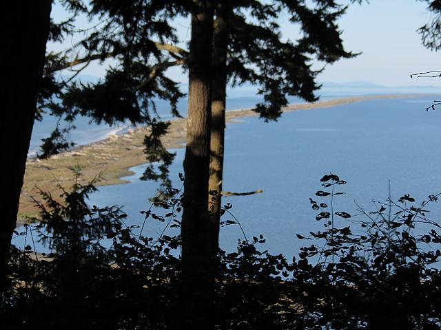201509OlympicPeninsula 122