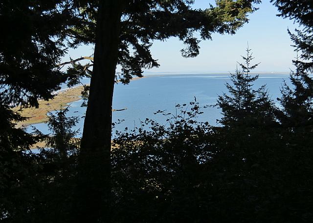 201509OlympicPeninsula 123
