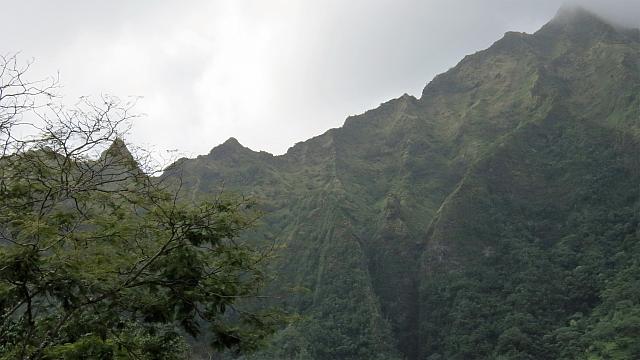 IMG 4116