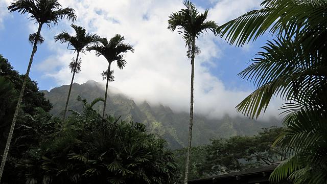 IMG 4123