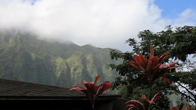 IMG 4127