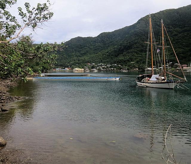 IMG 4984 (2)