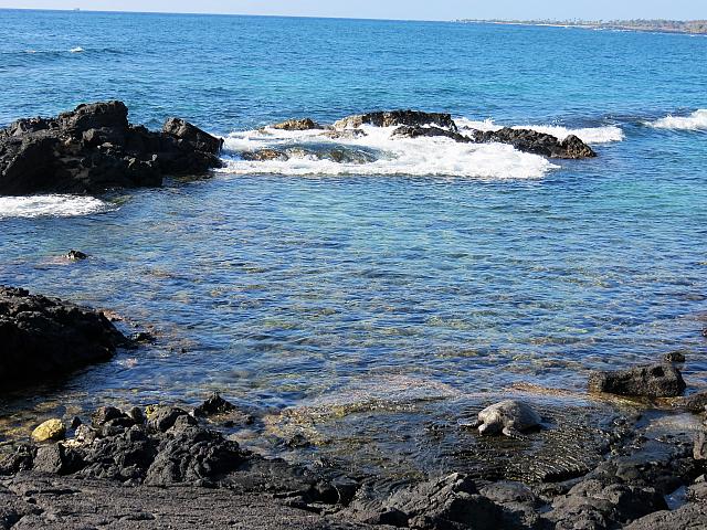 IMG 6513