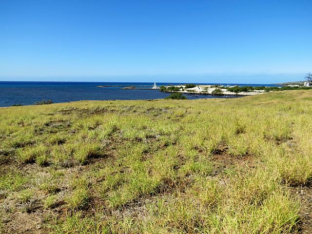 IMG 6907