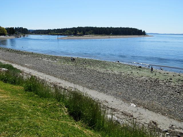 IMG 7355