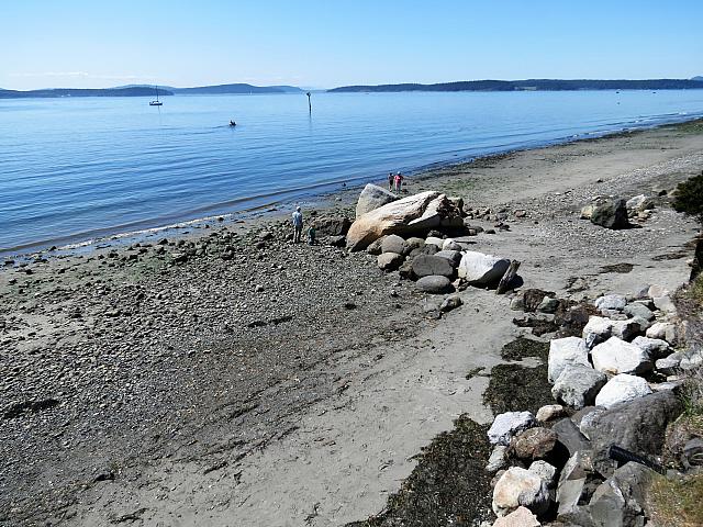 IMG 7357