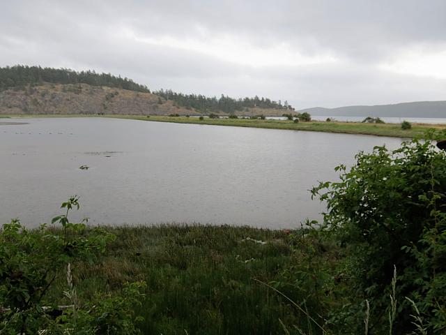 IMG 7465