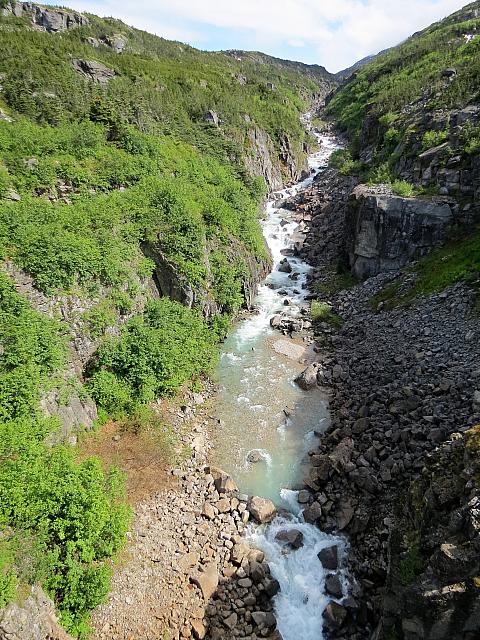 IMG 7856