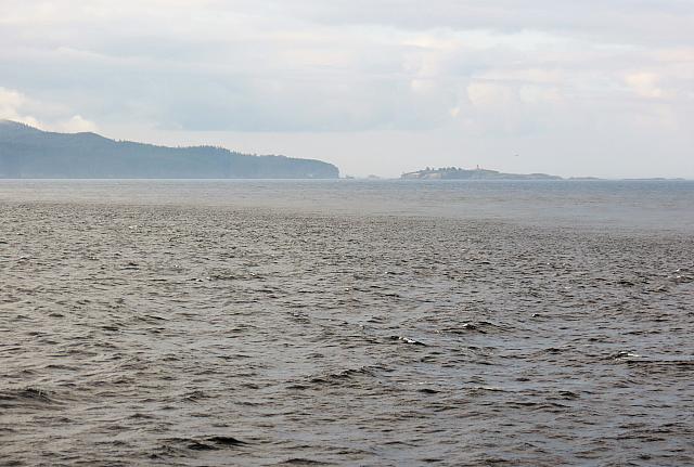 IMG 7991 (2)
