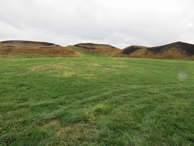 IMG 9079