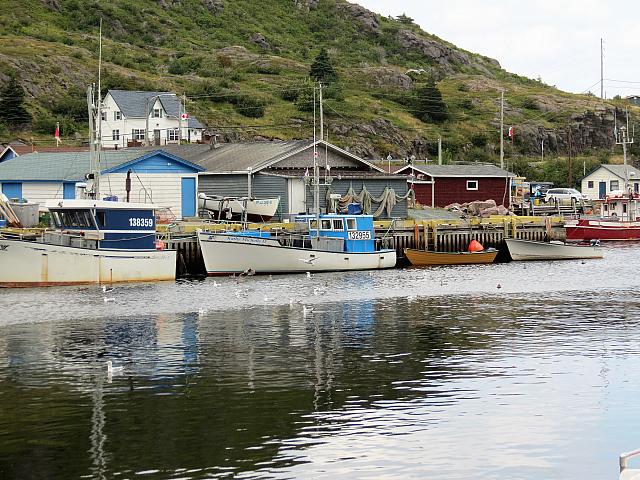 IMG 0045