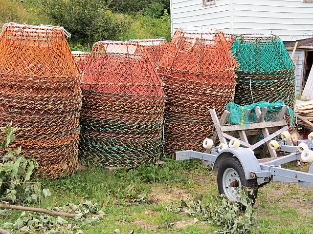 IMG 0053