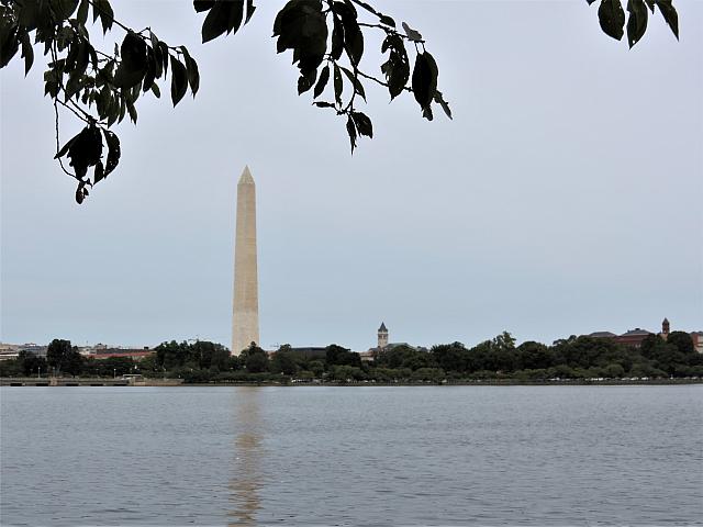 IMG 0272