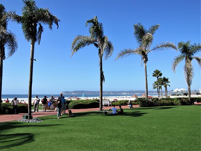IMG 0446