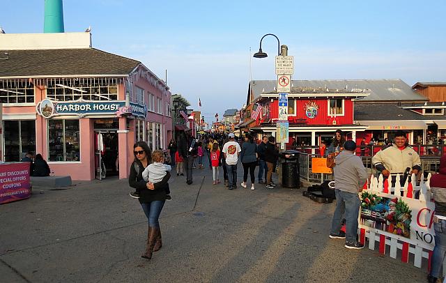 IMG 3462