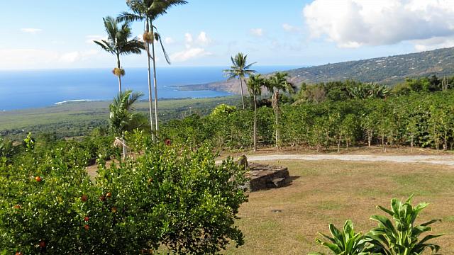IMG 3541