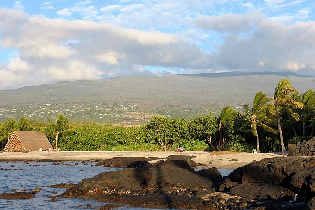IMG 3598