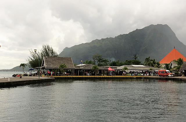 IMG 4663