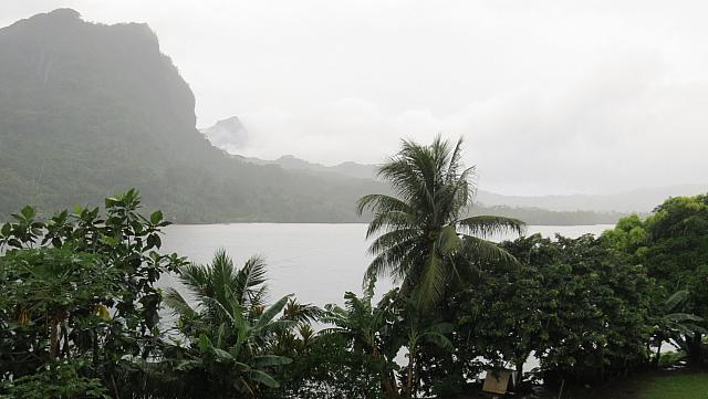 IMG 4680