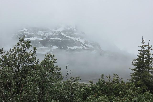 IMG 5365