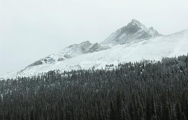 IMG 5387