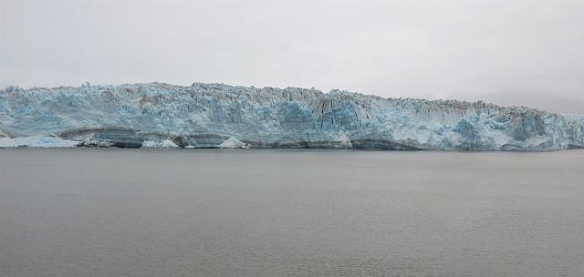 IMG 7981