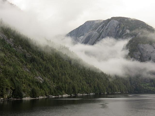 IMG 8100 (2)