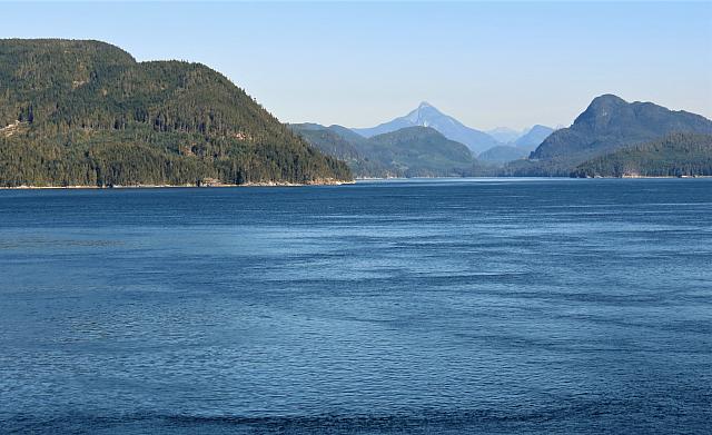 IMG 8202 (3)