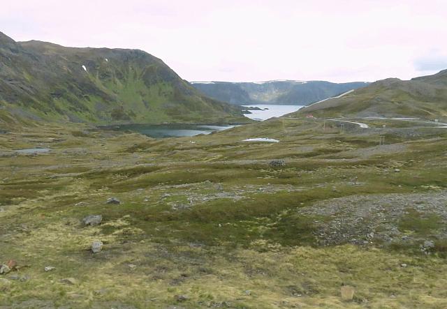 IMG 9531
