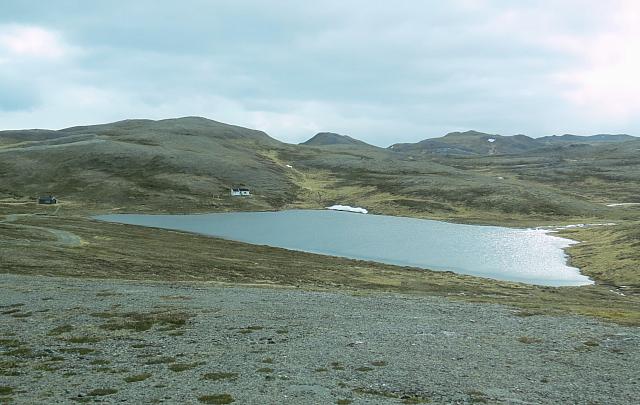 IMG 9544