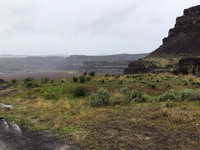 IMG 3533