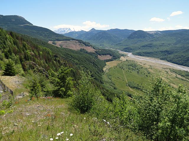 IMG 0851