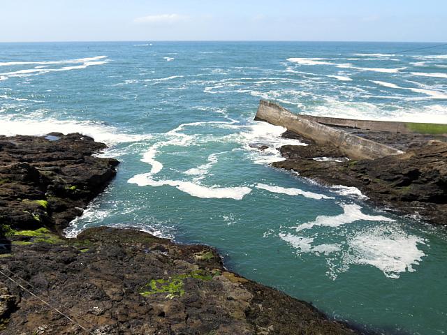 IMG 0888 - Copy