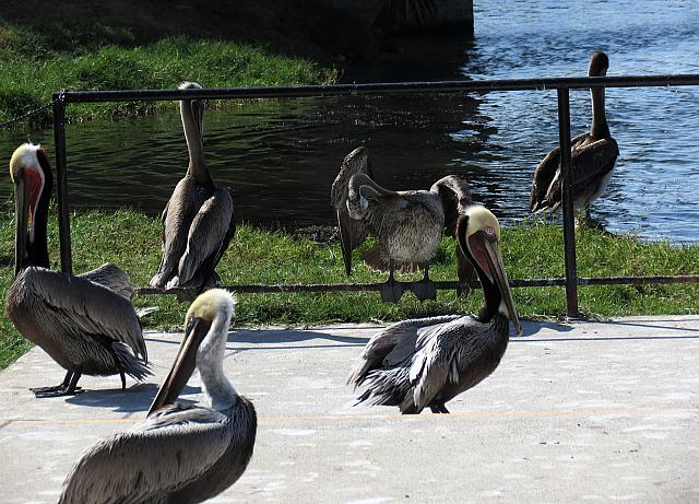 IMG 1870