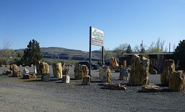 P1130863 - Copy