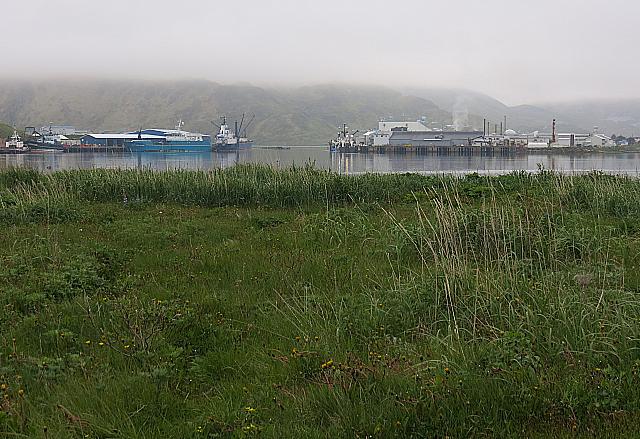 IMG 2417