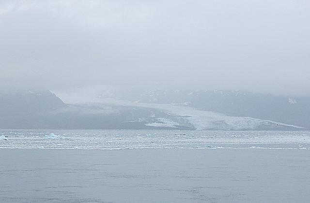 IMG 2696