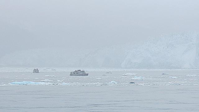 IMG 2697