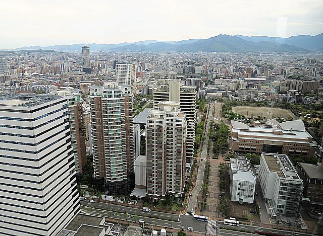 IMG 3589
