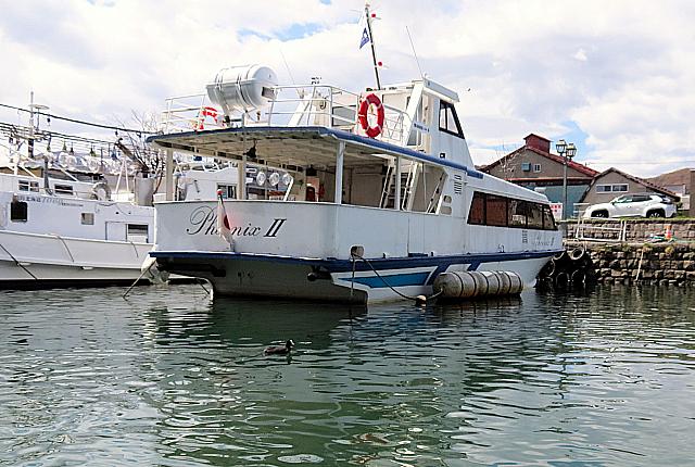 IMG 3952