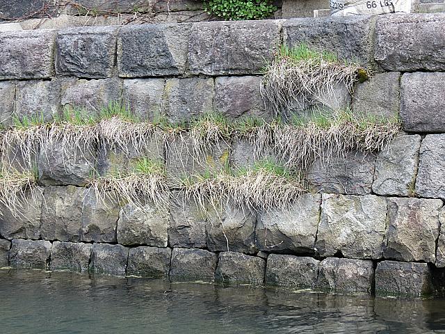 IMG 3979