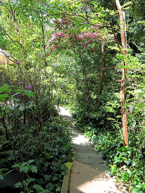 IMG 3261