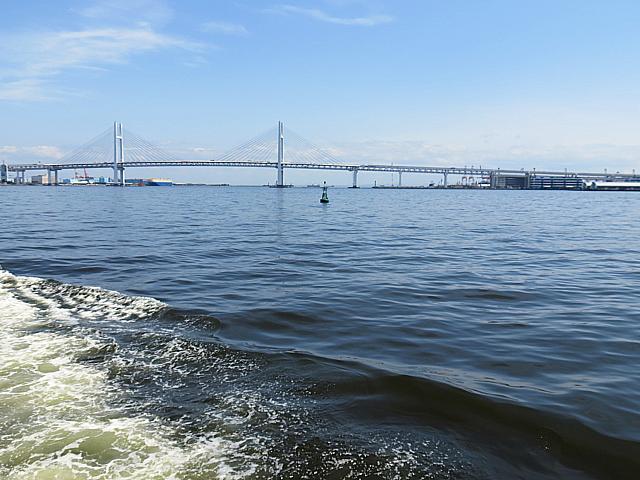 IMG 4074