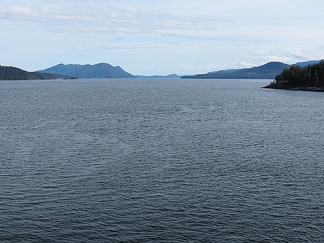 IMG 4331