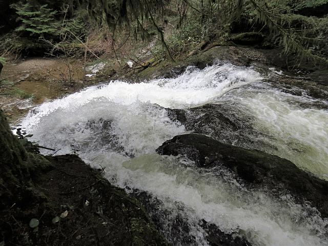 IMG 7065