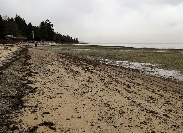 IMG 7097