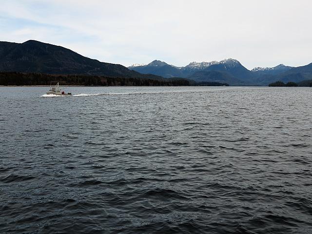IMG 7222