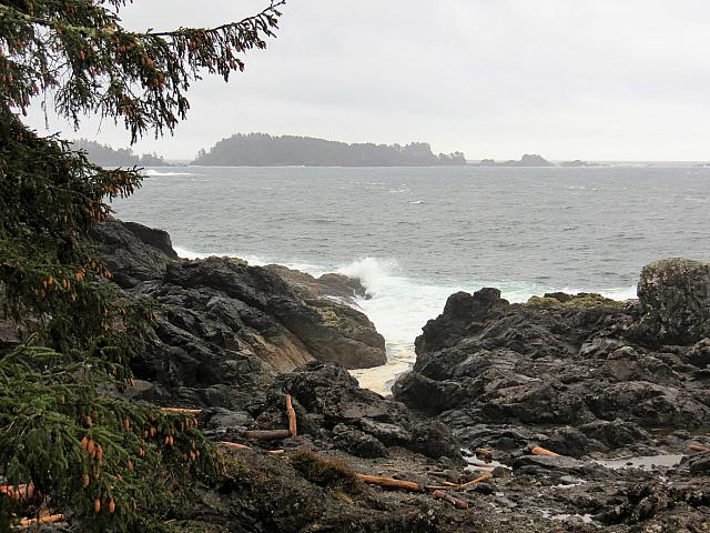 IMG 7250