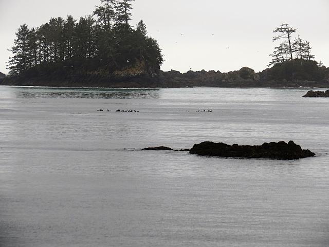 IMG 7263