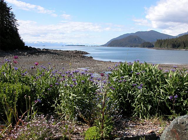 Alaska2005B 015